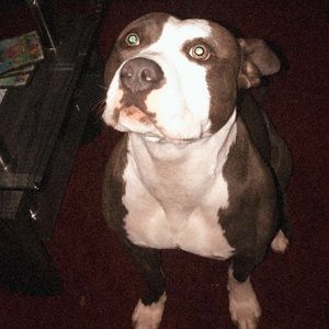 Meet your Posher, Adriana